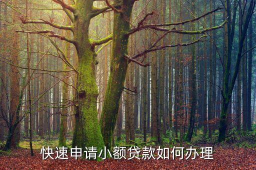 500的快速小額貸款怎么辦，我現(xiàn)在真的需要急用500塊錢我該怎么辦