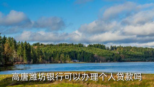 高唐濰坊銀行可以辦理個人貸款嗎