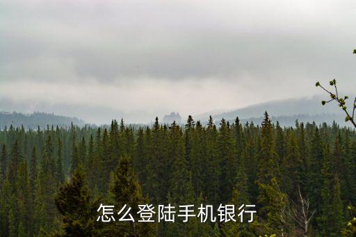 怎么登陸手機銀行