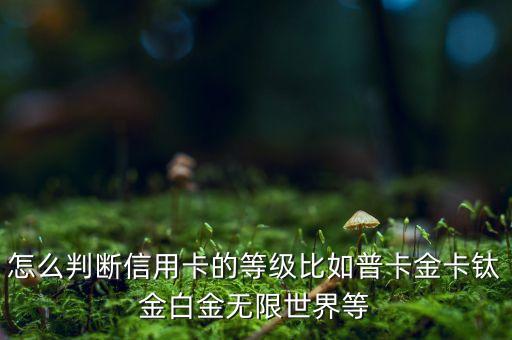 怎么判斷信用卡的等級比如普卡金卡鈦金白金無限世界等