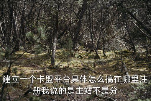 卡盟商城怎么弄的，怎么搞自己的卡盟