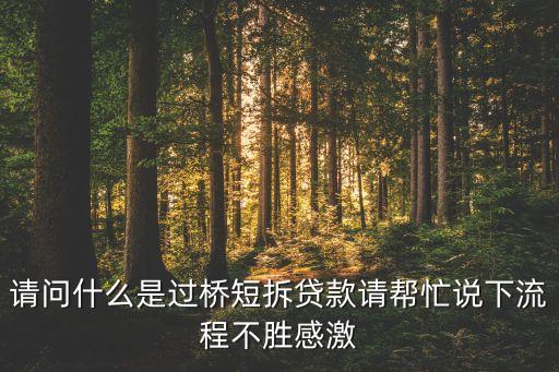 請問什么是過橋短拆貸款請幫忙說下流程不勝感激