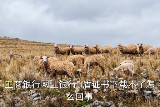 工行怎么下載證書錯誤怎么辦，下載工行u盾證書時出現(xiàn)系統(tǒng)錯誤181怎么辦啊