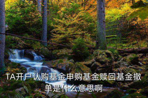 贖回和撒單是怎么回事，贖回提單是什么意思