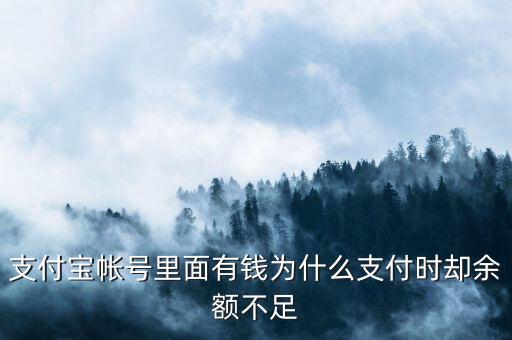 支付寶帳號里面有錢為什么支付時卻余額不足