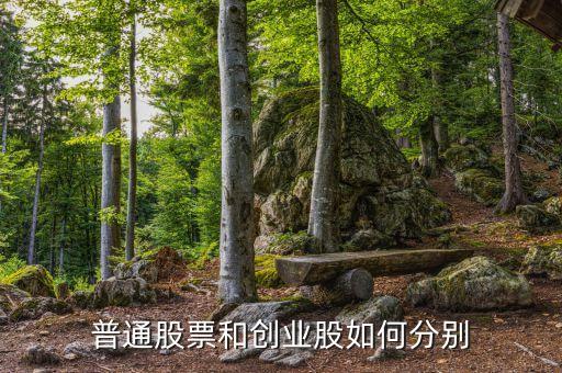 普通股票和創(chuàng)業(yè)股如何分別