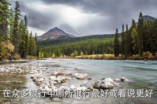 在眾多銀行中哪所銀行最好或著說更好