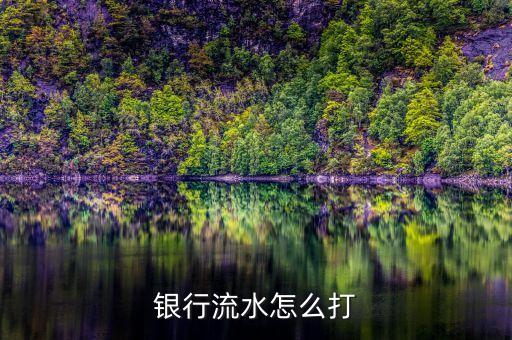 銀行流水怎么打