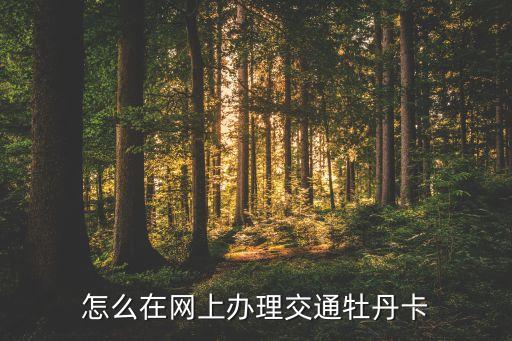 怎么在網(wǎng)上辦理交通牡丹卡