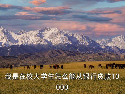 大學(xué)生怎么借款10000，大學(xué)生怎樣辦理1萬(wàn)元的貸款