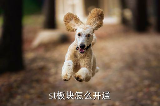 中信證券怎么開通st，如何用手機中信證券買ST