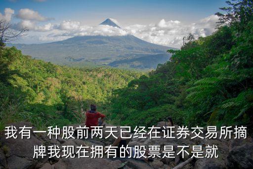 我有一種股前兩天已經(jīng)在證券交易所摘牌我現(xiàn)在擁有的股票是不是就