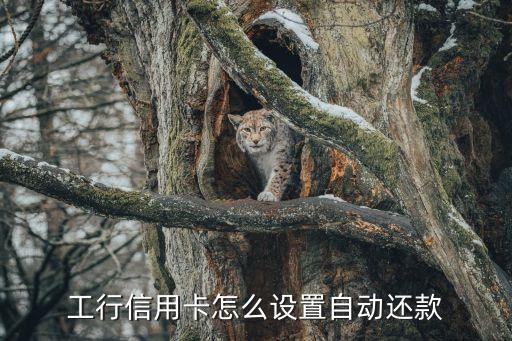 工行怎么設(shè)置自動還款日期，工行手機銀行怎么設(shè)置信用卡還款日期