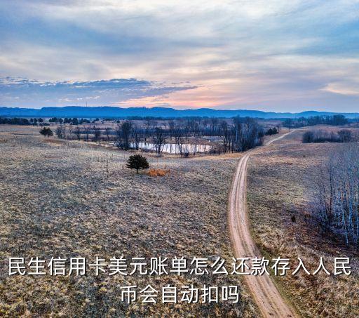 民生信用卡美元賬單怎么還款存入人民幣會(huì)自動(dòng)扣嗎