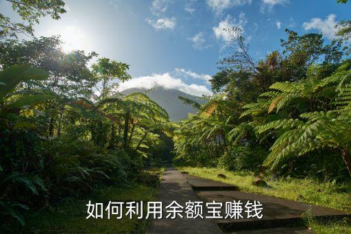 余額寶自己怎么賺錢，如何利用余額寶賺錢