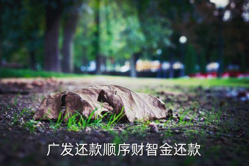 廣發(fā)還款順序財(cái)智金還款