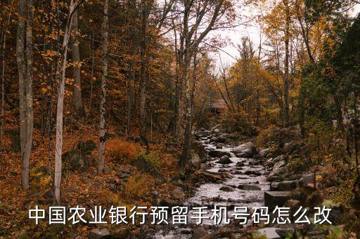 農(nóng)業(yè)銀行改號(hào)碼怎么改，中國農(nóng)業(yè)銀行預(yù)留手機(jī)號(hào)碼怎么改