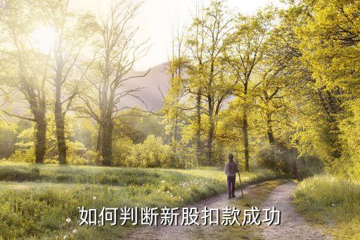 如何判斷新股扣款成功