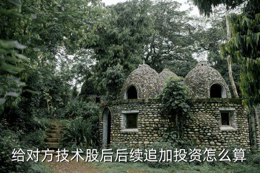 給對(duì)方技術(shù)股后后續(xù)追加投資怎么算