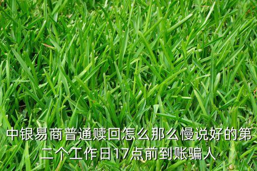 中銀易商普通贖回怎么那么慢說好的第二個工作日17點前到賬騙人