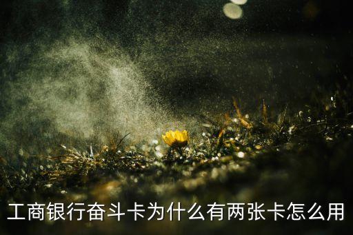 工行奮斗信用卡怎么有兩張，工行奮斗信用卡為什么有兩張