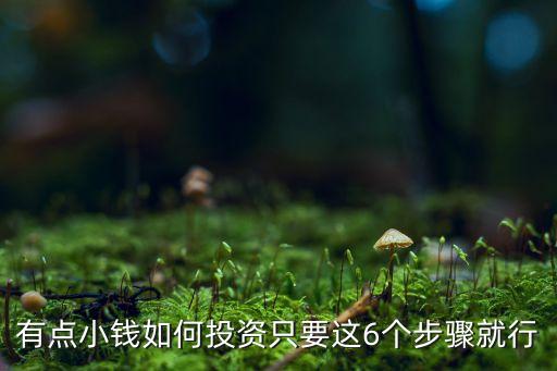 有點小錢如何投資只要這6個步驟就行