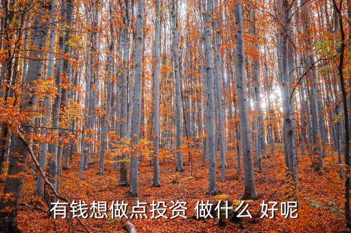 有錢怎么做投資，手上有錢做什么投資好