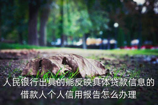 人民銀行出具的能反映具體貸款信息的借款人個(gè)人信用報(bào)告怎么辦理