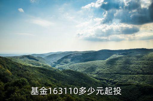 基金163110多少元起投
