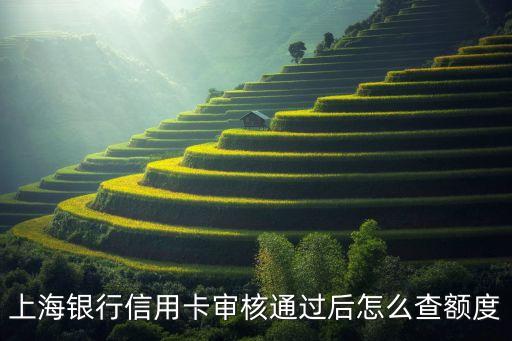 上海銀行信用卡審核通過后怎么查額度