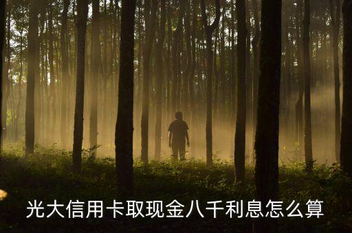 光大信用卡8000利息怎么算的，光大信用卡額度8000利息是多少
