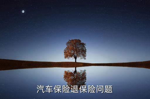 汽車保險退保險問題