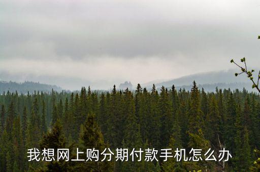 我想網(wǎng)上購(gòu)分期付款手機(jī)怎么辦