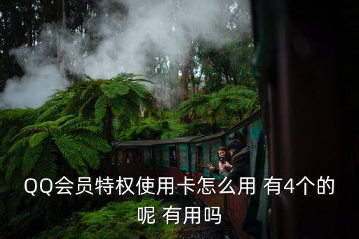 QQ會員特權(quán)使用卡怎么用 有4個的呢 有用嗎