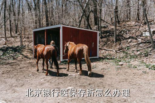 北京市醫(yī)保存折怎么辦，北京銀行醫(yī)保存折怎么辦理
