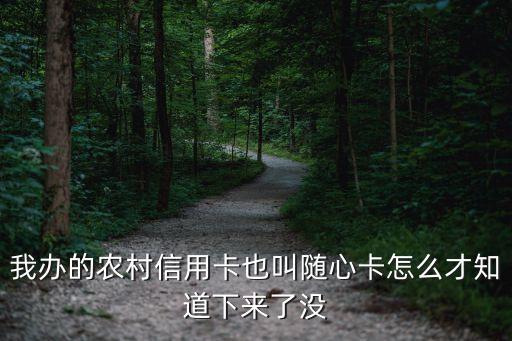 我辦的農村信用卡也叫隨心卡怎么才知道下來了沒