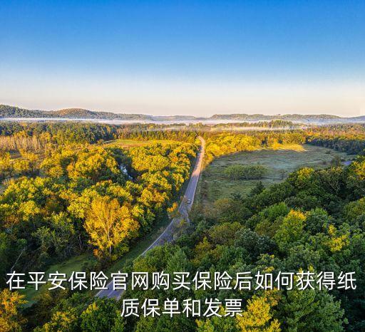 在平安保險(xiǎn)官網(wǎng)購買保險(xiǎn)后如何獲得紙質(zhì)保單和發(fā)票