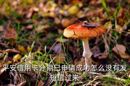 信用卡分期了沒信息怎么辦理，我有信用卡 我刷卡后申請的分期 過后我沒收到短信通知 我打電話到銀