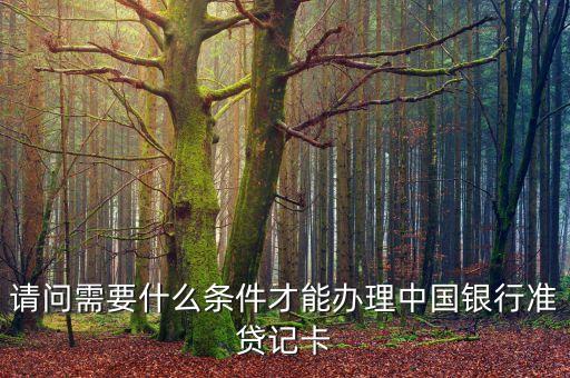 請(qǐng)問(wèn)需要什么條件才能辦理中國(guó)銀行準(zhǔn)貸記卡