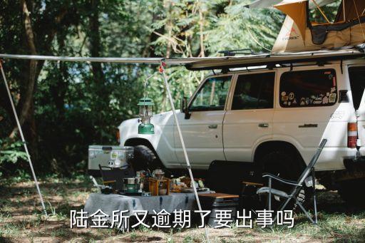 最近陸金所怎么了，陸金所今天怎么打不開了誰知道怎么回事