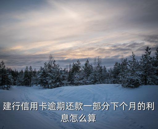 建行信用卡逾期還款一部分下個(gè)月的利息怎么算