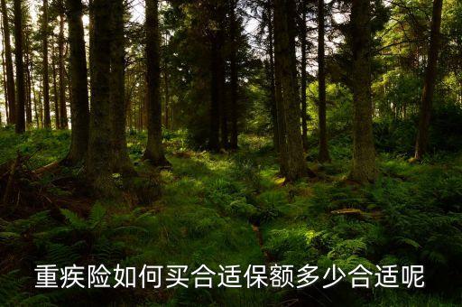 重疾險如何買合適保額多少合適呢