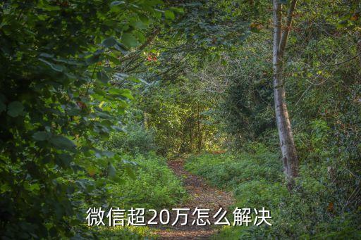 微信超20萬怎么解決