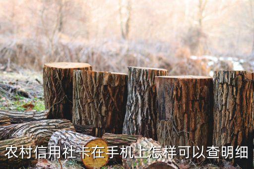 農(nóng)村信合卡怎么查明細(xì)，農(nóng)村信用社卡在手機(jī)上怎樣可以查明細(xì)