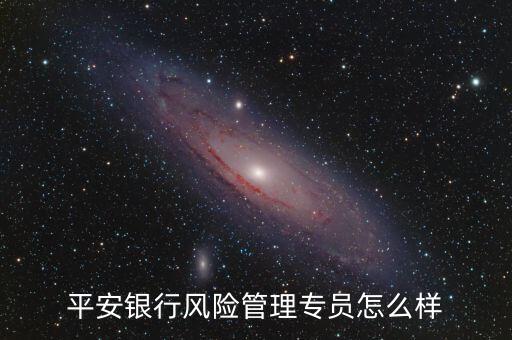 平安銀行風險管理專員怎么樣