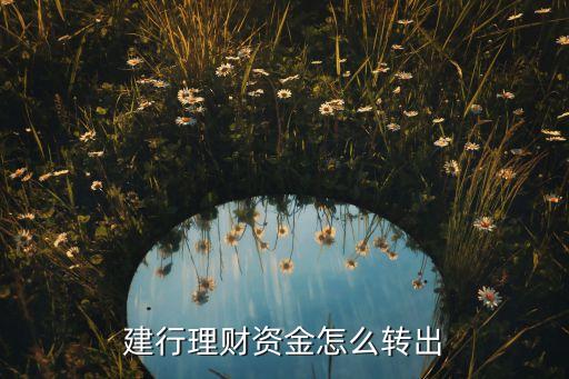 建行理財資金怎么轉(zhuǎn)出