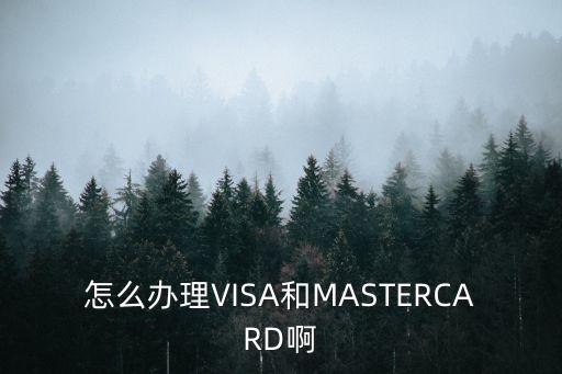 怎么辦理VISA和MASTERCARD啊