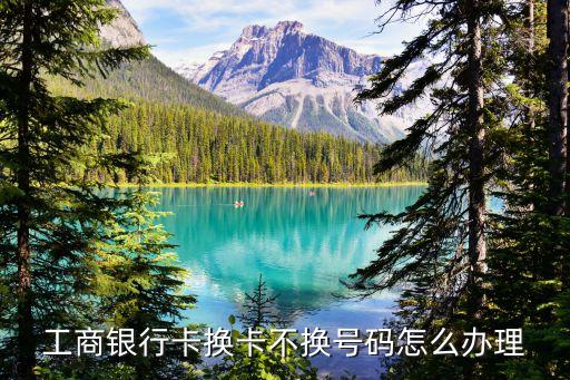 不想換銀行卡號怎么辦理嗎，我的農行卡掉了但是我又不想換卡號因為有好多客戶知道我的這