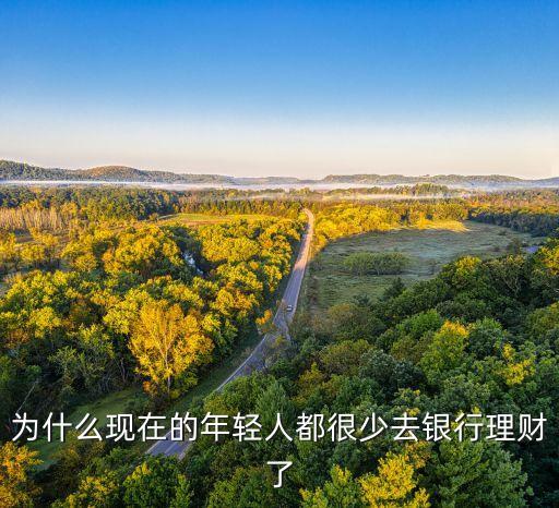 為什么現(xiàn)在的年輕人都很少去銀行理財(cái)了