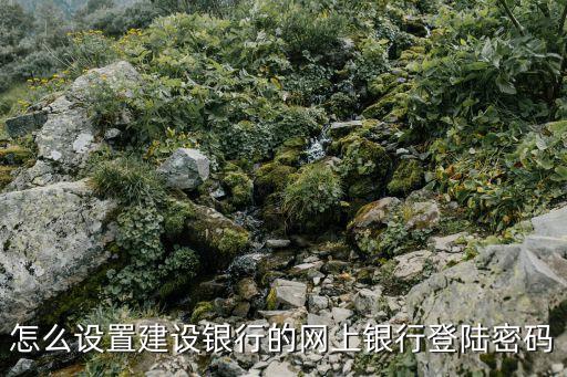 怎么設(shè)置建設(shè)銀行的網(wǎng)上銀行登陸密碼